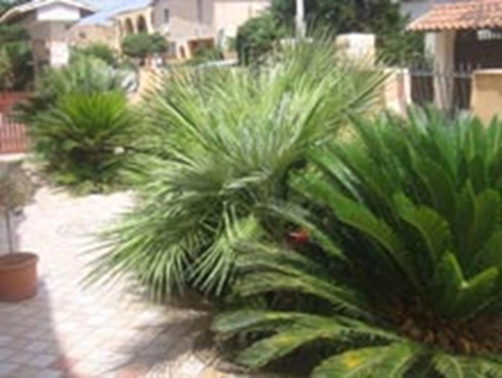 B&B Villa Olimpo Le Torri 阿格里真托 外观 照片
